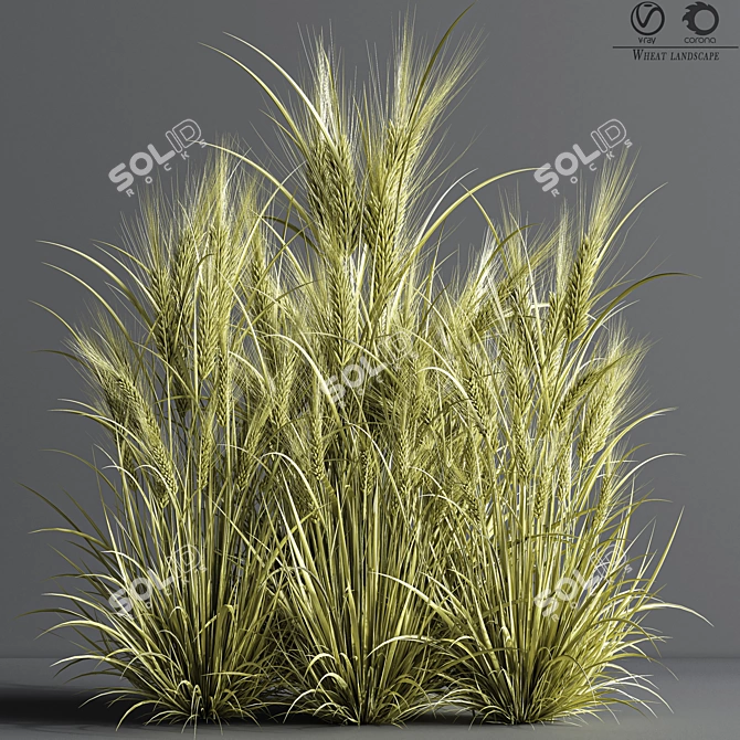 Wheat Fields 3D Model 3D model image 1