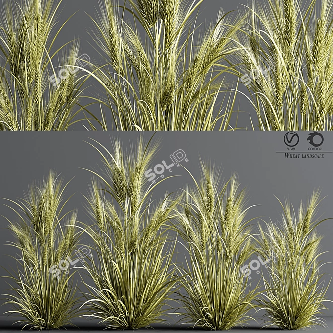 Wheat Fields 3D Model 3D model image 2