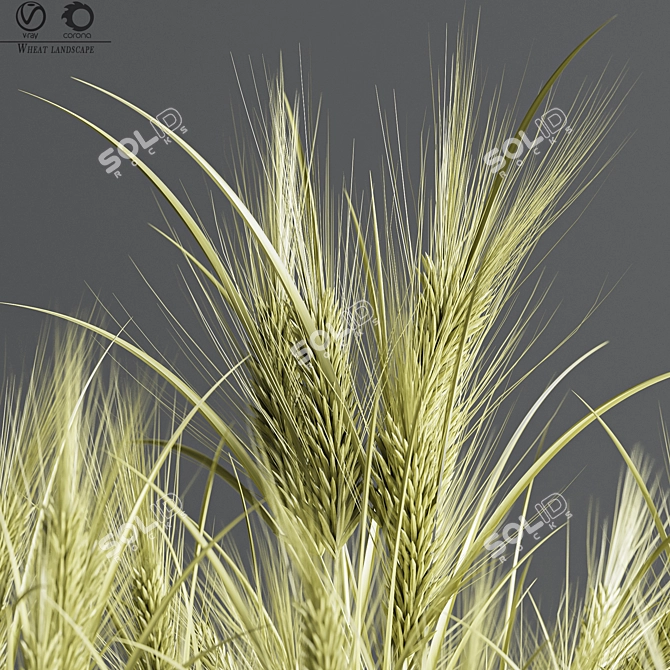 Wheat Fields 3D Model 3D model image 3