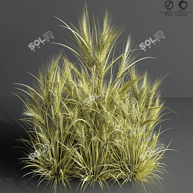 Wheat Fields 3D Model 3D model image 4