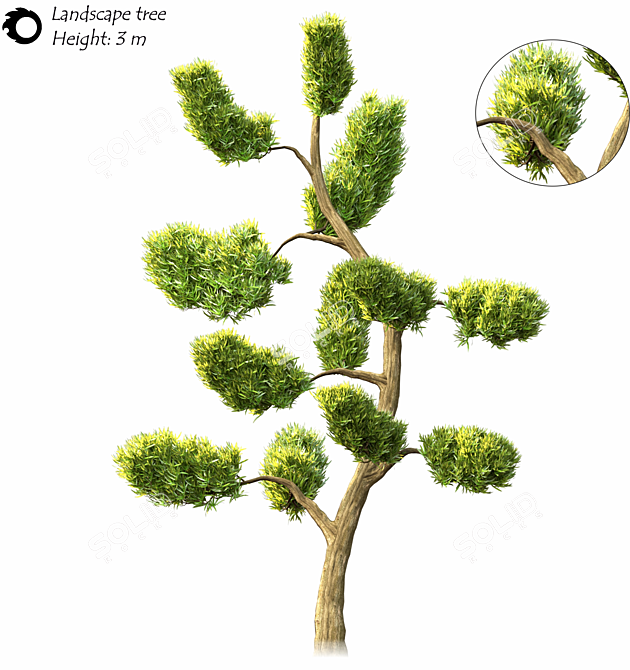 2014 Landscape Tree | 3m Height | 2,266,210 Polys | Corona Render 3D model image 1