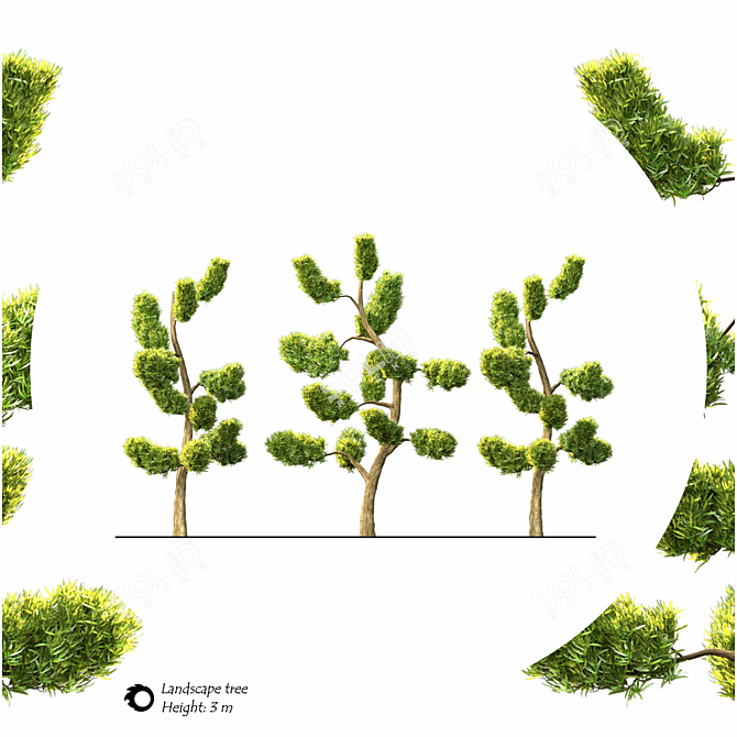 2014 Landscape Tree | 3m Height | 2,266,210 Polys | Corona Render 3D model image 2