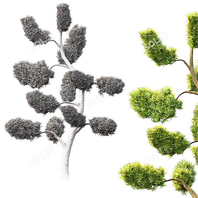 2014 Landscape Tree | 3m Height | 2,266,210 Polys | Corona Render 3D model image 3