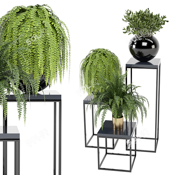 Ferm Living Bau Pot Large with Indoor Plants - Set 159 3D model image 1