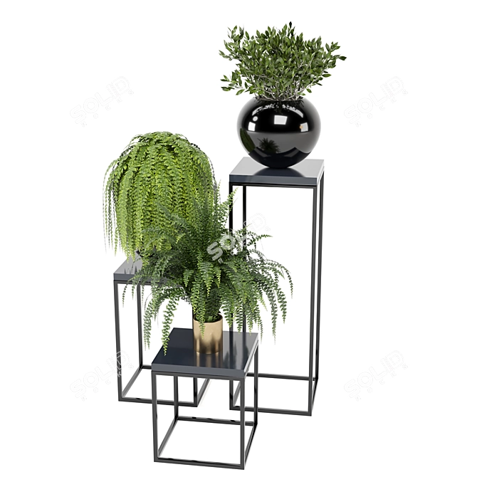 Ferm Living Bau Pot Large with Indoor Plants - Set 159 3D model image 6