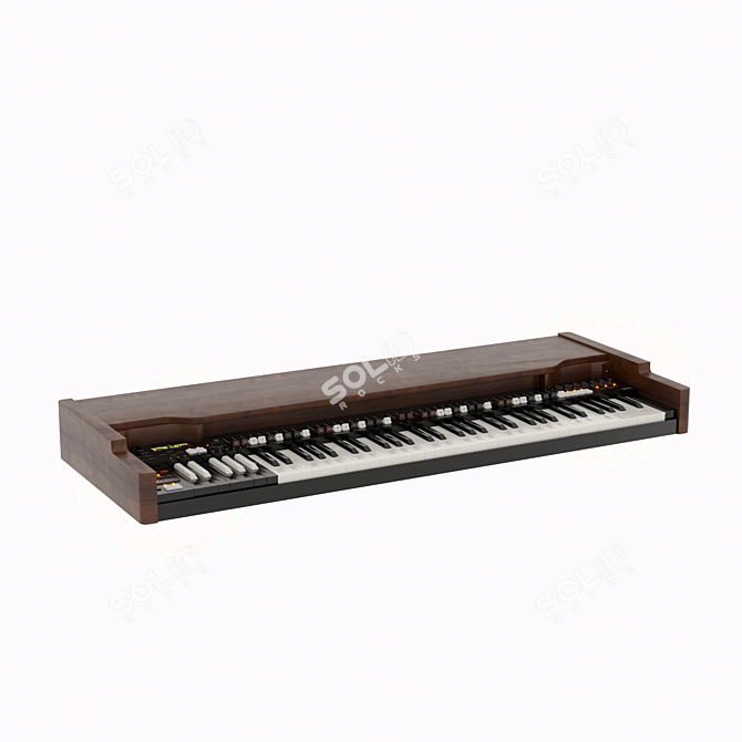 Wooden and Plastic Musical Instrument 3D model image 2