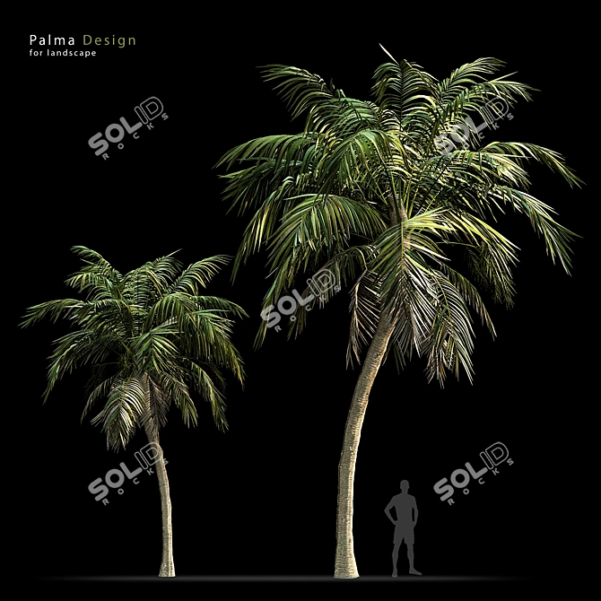 Tropical Paradise: Palm Wallpaper 3D model image 1