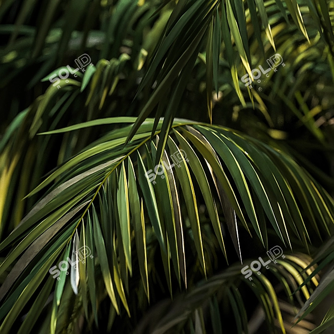 Tropical Paradise: Palm Wallpaper 3D model image 2