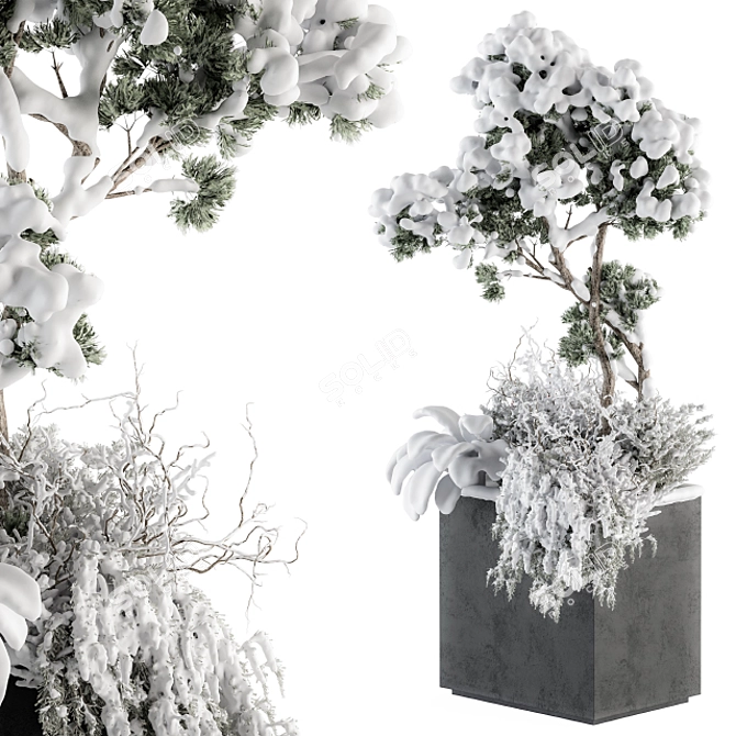 Snowy Plant Box Set: Outdoor Plants in a Winter Wonderland 3D model image 1