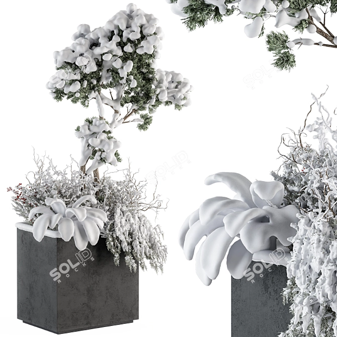 Snowy Plant Box Set: Outdoor Plants in a Winter Wonderland 3D model image 2
