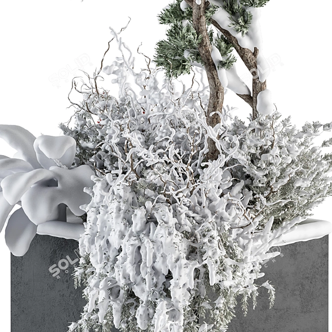 Snowy Plant Box Set: Outdoor Plants in a Winter Wonderland 3D model image 3