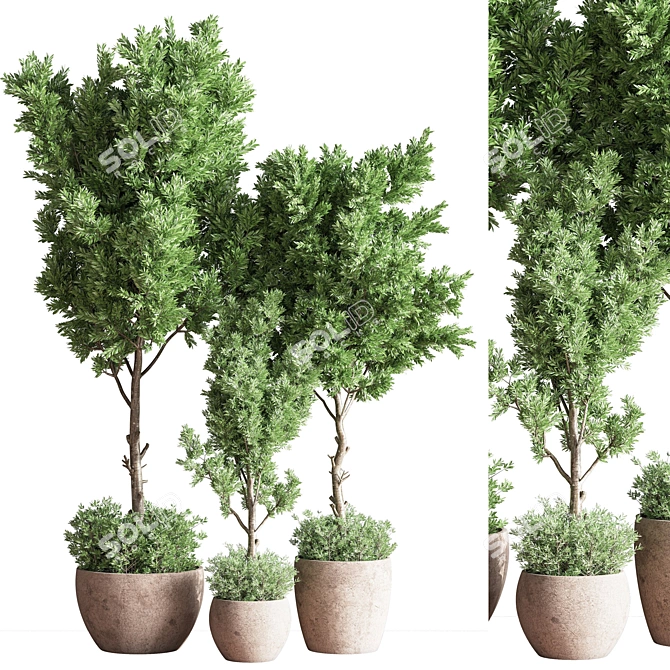 Versatile Indoor Plant Set 3D model image 1