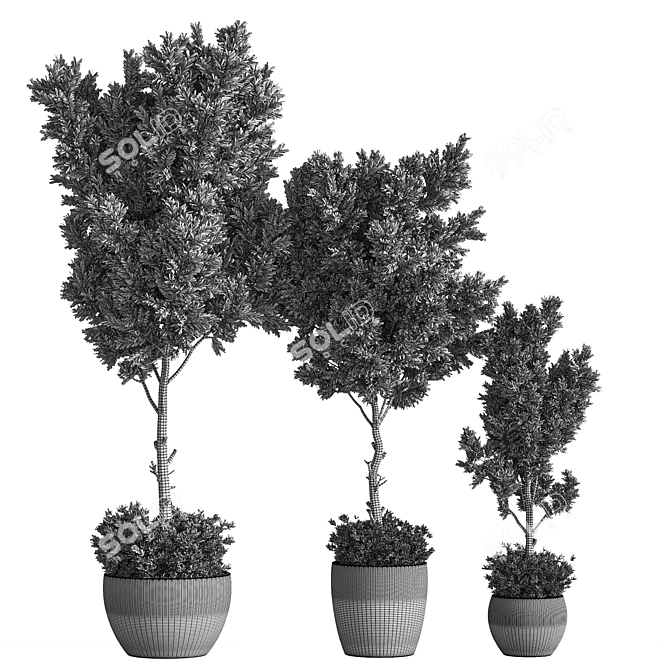 Versatile Indoor Plant Set 3D model image 6