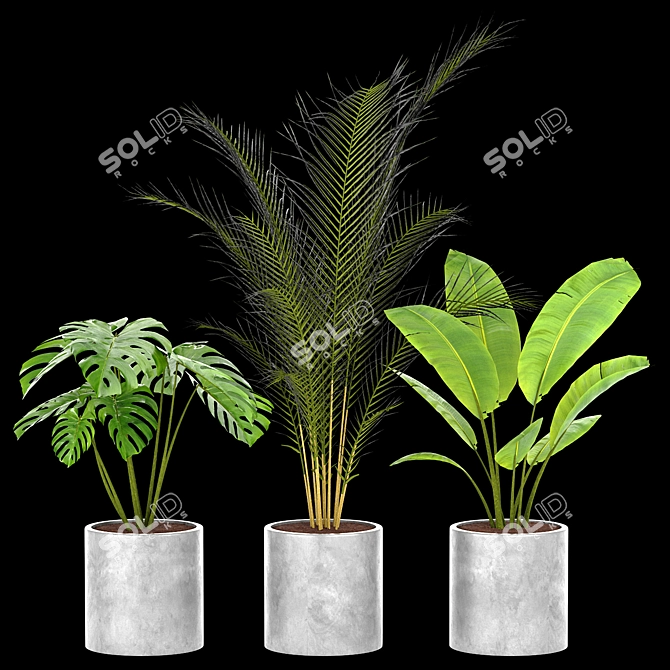 Green Oasis Indoor Plant Set 3D model image 1