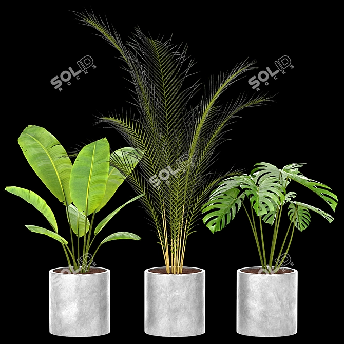 Green Oasis Indoor Plant Set 3D model image 2