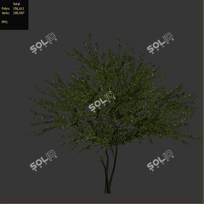 Everlasting Olive Tree 3D model image 4