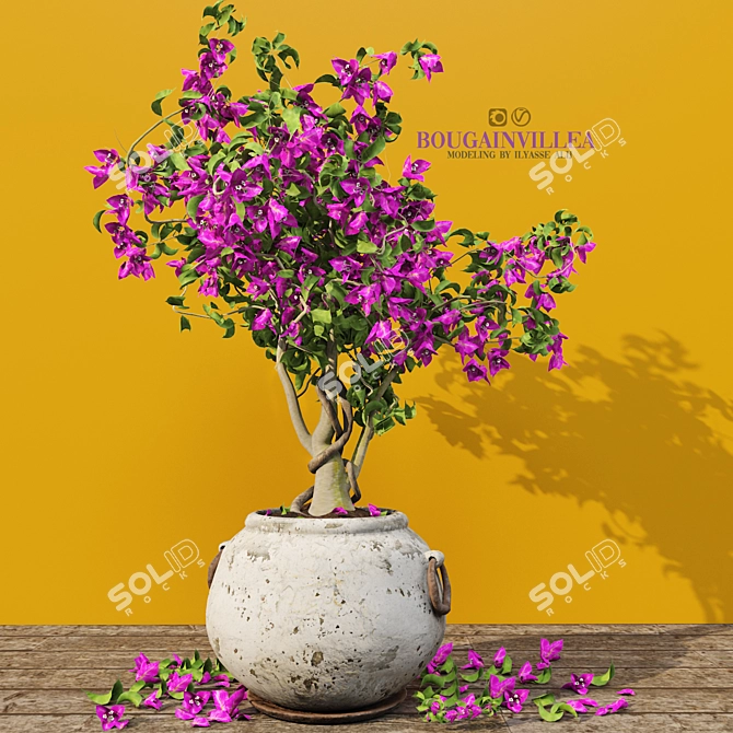 Blooming Bougainvillea Tree 3D model image 5