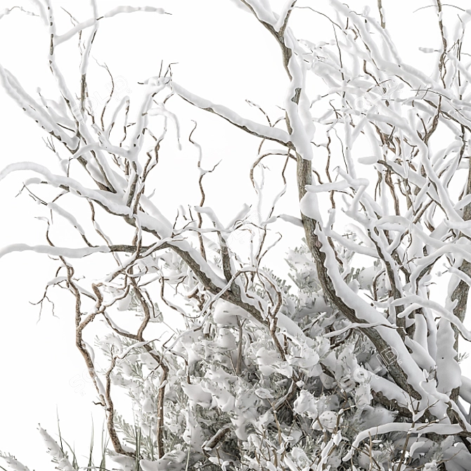 Snowy Mixed Plant Bush - Set of 59 3D model image 3