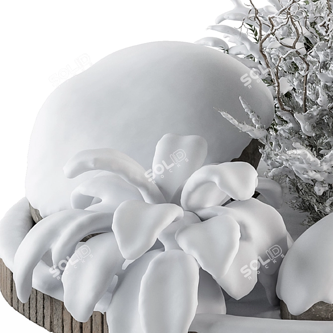 Snowy Garden Outdoor Plants 3D model image 3
