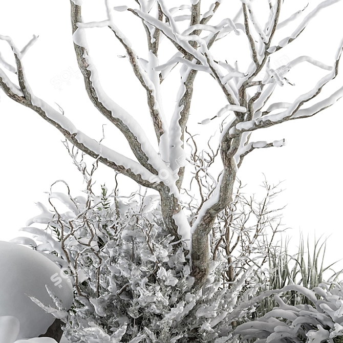 Snowy Garden Outdoor Plants 3D model image 4
