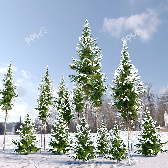 Winter Abies Guatemalensis: 3D Models 3D model image 3