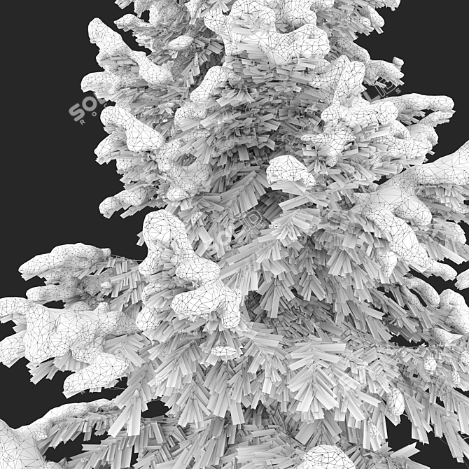 Winter Abies Guatemalensis: 3D Models 3D model image 4