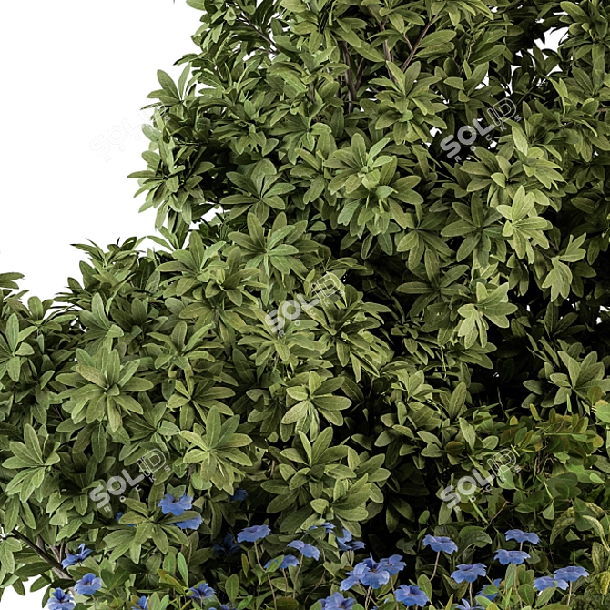 Blue Blooms Bush Set - 53 Varieties 3D model image 2