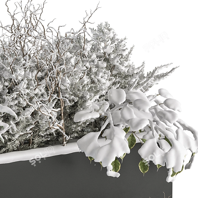 Snowy Outdoor Plant Box Set 3D model image 2