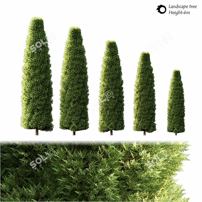 Natural Green Landscape Tree 3D model image 2