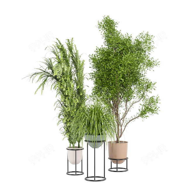 Ferm Living Bau Pot Large - Indoor Plants Set 3D model image 5