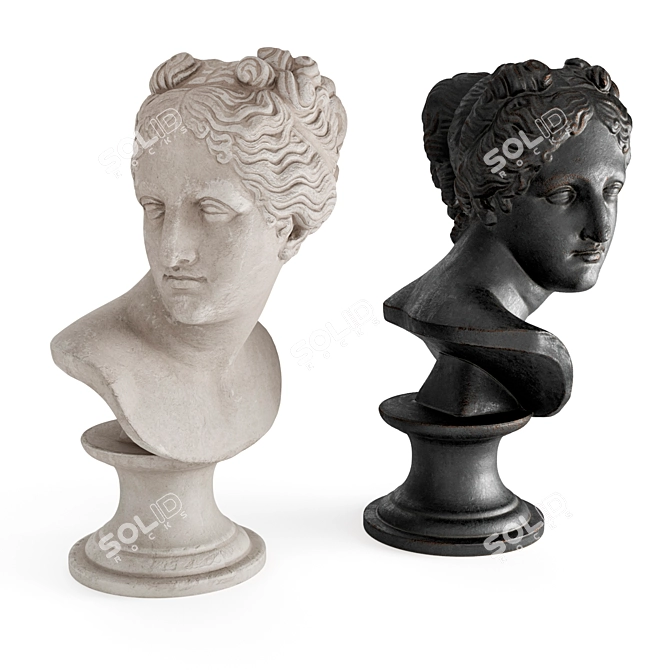 Elegant Venus Marble Bust 3D model image 1