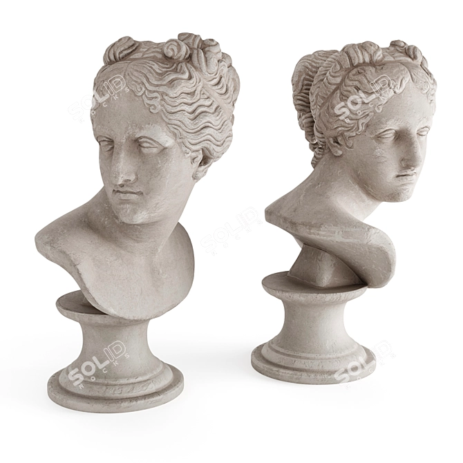 Elegant Venus Marble Bust 3D model image 2