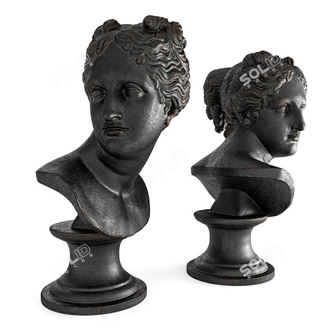 Elegant Venus Marble Bust 3D model image 3