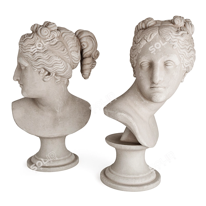 Elegant Venus Marble Bust 3D model image 4