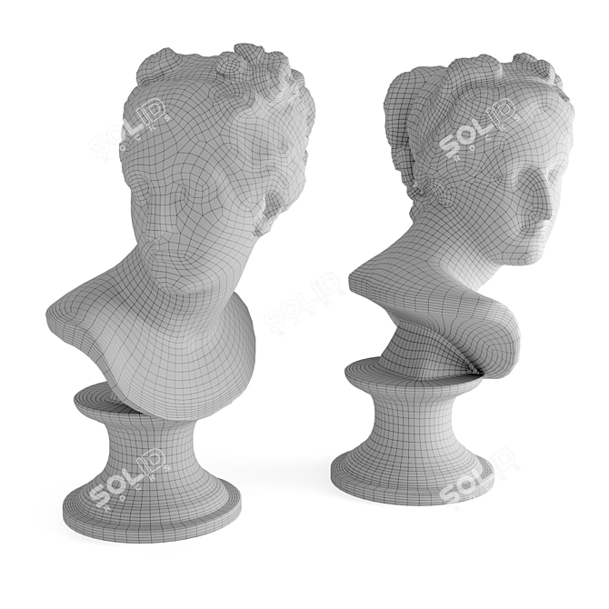 Elegant Venus Marble Bust 3D model image 5