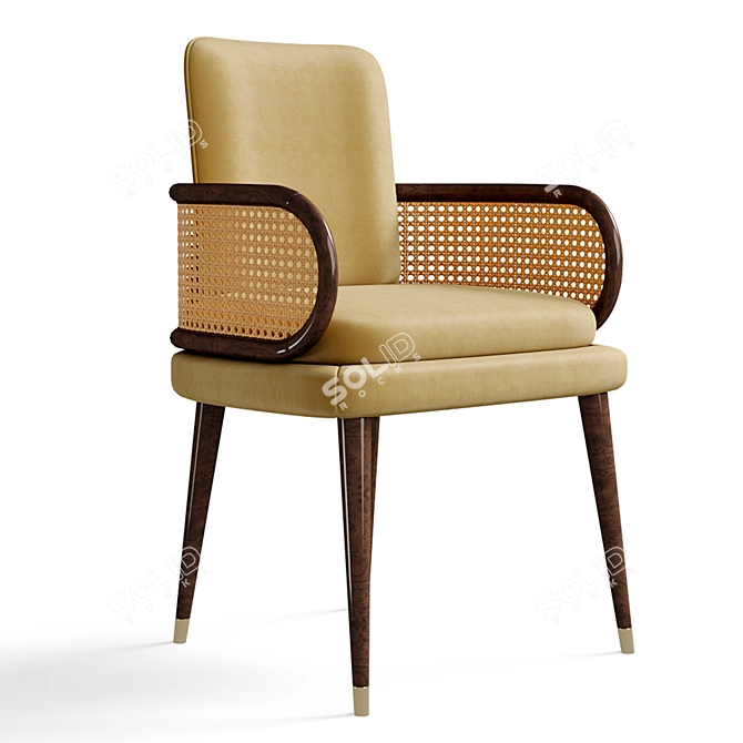 Modern Mid-Century Blakey Dining Chair 3D model image 1