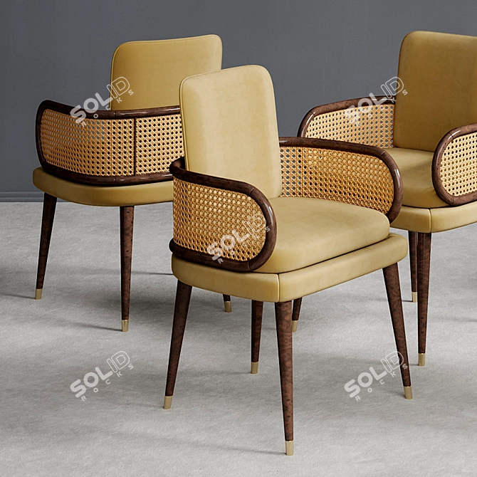 Modern Mid-Century Blakey Dining Chair 3D model image 4