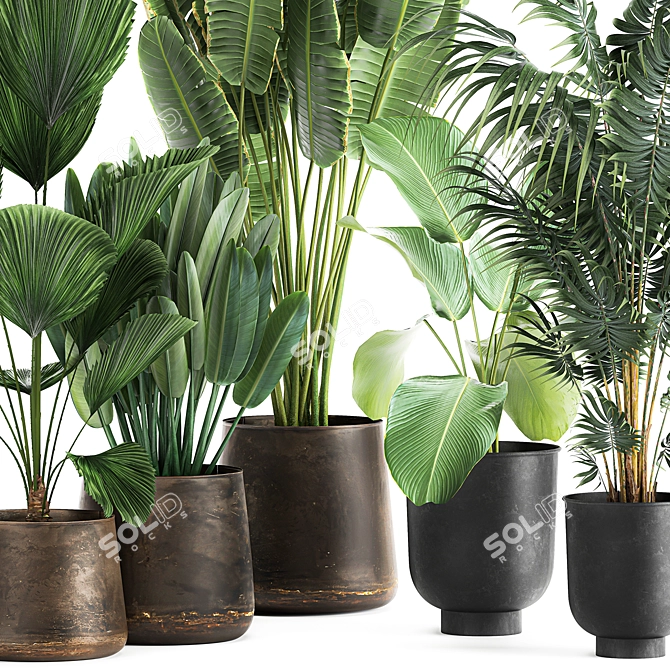 Tropical Plant Collection in Reclaimed Metal Pots 3D model image 2