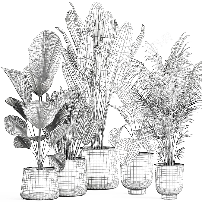 Tropical Plant Collection in Reclaimed Metal Pots 3D model image 6