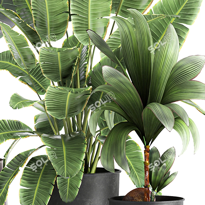 Tropical Plant Collection in Rustic Metal Pots 3D model image 4