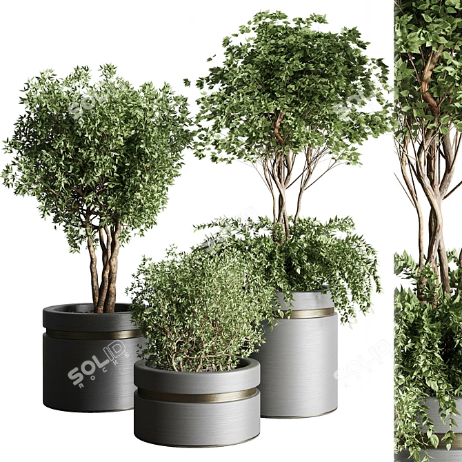 Metal Vase Collection: Tree Pots & Shrubs 3D model image 3