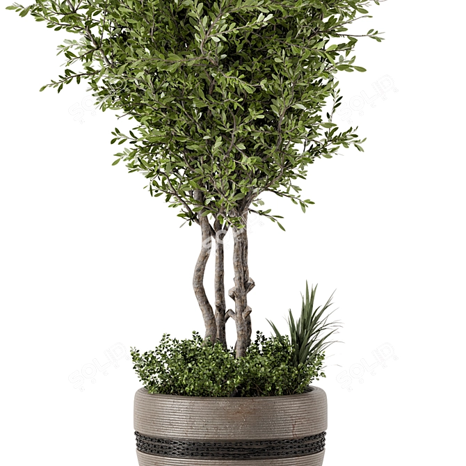 Rustic Concrete Pot with Outdoor Bush and Tree 3D model image 2