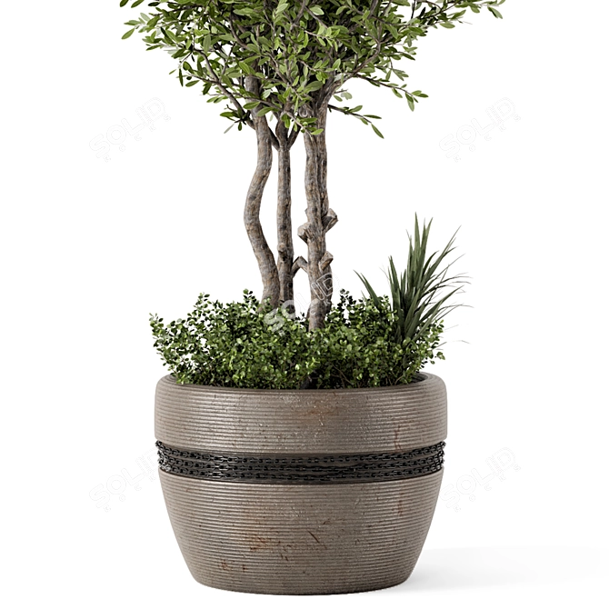 Rustic Concrete Pot with Outdoor Bush and Tree 3D model image 4