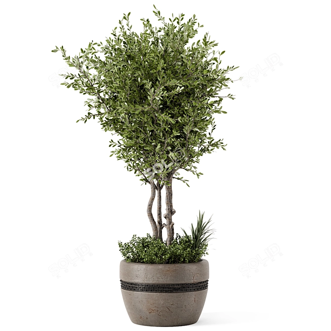 Rustic Concrete Pot with Outdoor Bush and Tree 3D model image 5