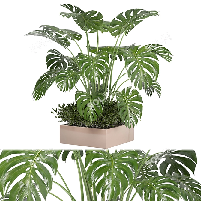 Bau Pot Large Indoor Plants Set 3D model image 1