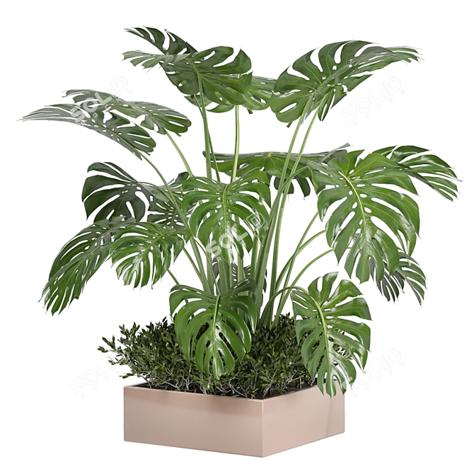 Bau Pot Large Indoor Plants Set 3D model image 4