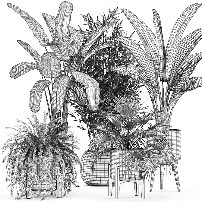 Tropical Plant Collection: Exotics for Indoor and Outdoor 3D model image 6