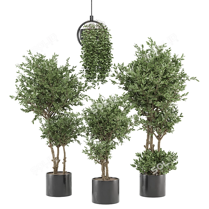 Modern Indoor Plants Set - Ferm Living Bau Pot 3D model image 1