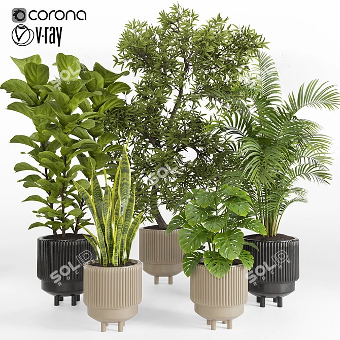 Tropical Houseplants in Stone Pots 3D model image 1