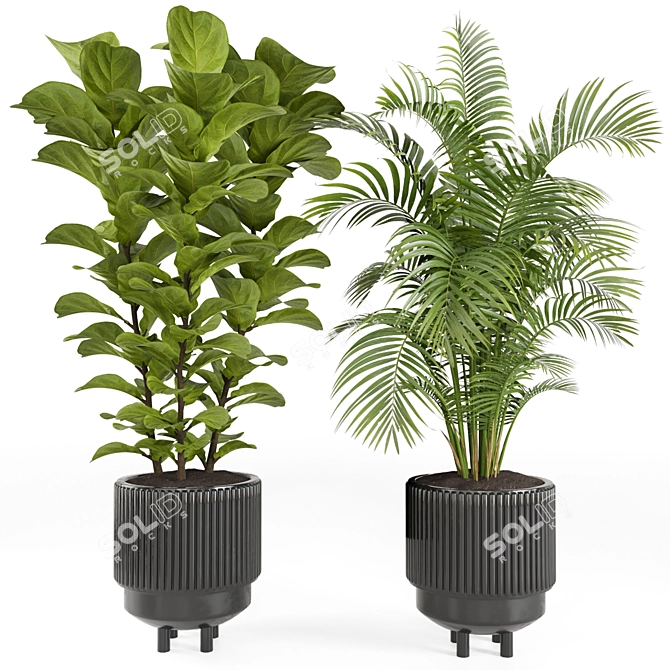 Tropical Houseplants in Stone Pots 3D model image 3